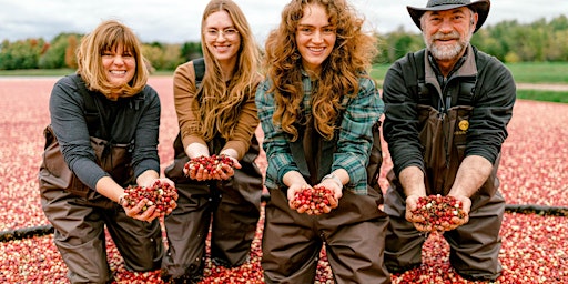 Stand in Floating Cranberries: Harvest Experience October 20 (SUNDAY)