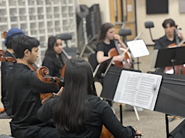 Primaire afbeelding van Strings Unbound: from Bach to The Beatles