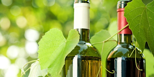 Hauptbild für Italian Organic Wine Tasting