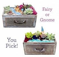 Plant Nite: Make a Succulent Terrarium primary image