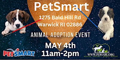 Imagen principal de May the 4th be with you animal adoption event