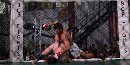 Image principale de MMA FIGHT NIGHT