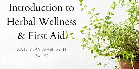 Introduction to Herbal Wellness & First Aid Workshop