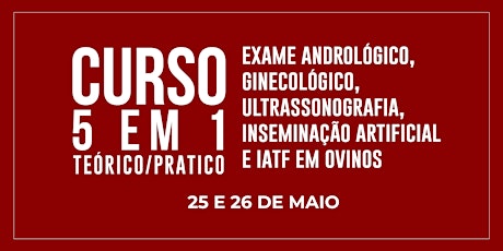 Curso 5 Em 1:  Exame Andrológico, Exame Ginecológico, Ultrassonografia, Ins