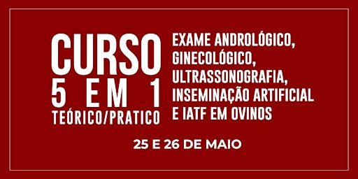 Curso 5 Em 1:  Exame Andrológico, Exame Ginecológico, Ultrassonografia, Ins  primärbild