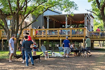 Primaire afbeelding van Paws, Play & Dine at The Shack Dog Park