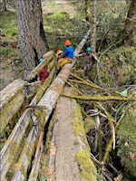 Hauptbild für Oneonta Trail Party - Gorge