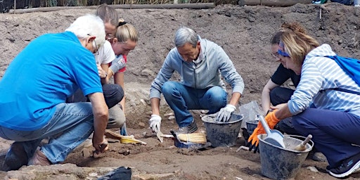 Primaire afbeelding van VIVI L'ESPERIENZA DELL'ARCHEOLOGIA