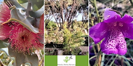 Manuka Native Nursery Workshop at Kapunda Library