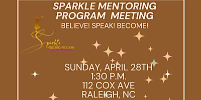 Hauptbild für Sparkle Mentoring Program Meeting
