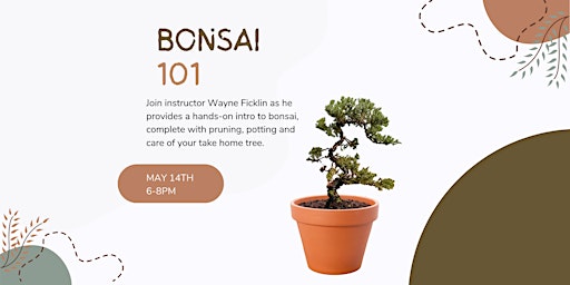 Imagen principal de Intro to Bonsai