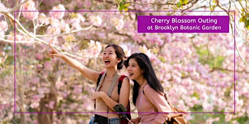 Cherry Blossom Outing at Brooklyn Botanic Garden  primärbild