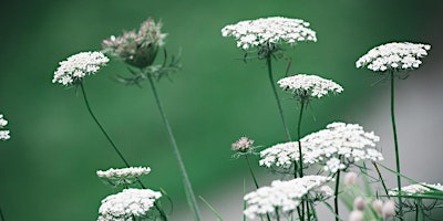 Spectacle "Fleur de Carotte" primary image