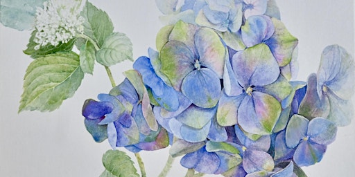 Botanical Art Watercolour Workshop Townsville primary image