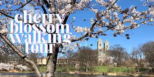 Imagem principal do evento Cherry Blossom Walking Tour in Branch Brook Park