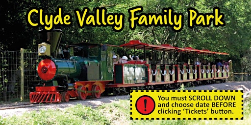 Imagen principal de Clyde Valley Family Park