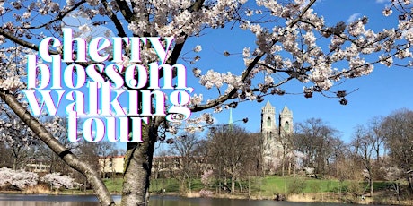 Cherry Blossom Walking Tour in Branch Brook Park