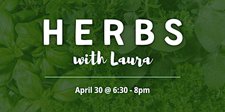 Growing Herbs with Laura