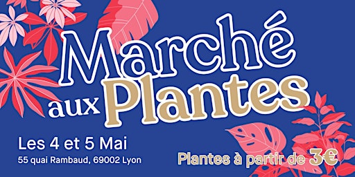 Image principale de Marché aux Plantes