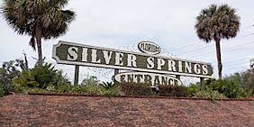 Florida Safari Tram Tour - Silver Springs State Park primary image