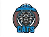 Logotipo da organização CATS Academy