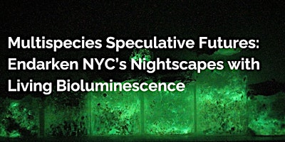 Imagem principal do evento Multispecies Speculative Futures: Endarken NYC’s nightscapes