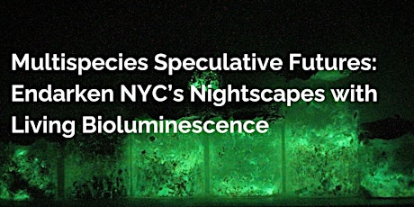 Imagen principal de Multispecies Speculative Futures: Endarken NYC’s nightscapes