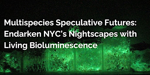 Imagem principal de Multispecies Speculative Futures: Endarken NYC’s nightscapes