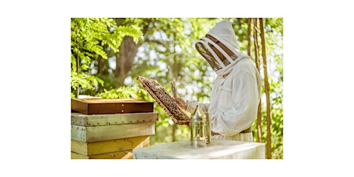 Immagine principale di Show Me the Honey! A Mini-Workshop for Beginning Beekeepers 