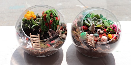 Terrarium Party