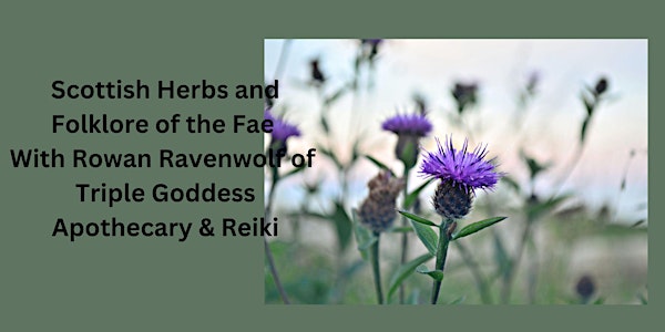 Scottish Herbs and Folklore of the Fae