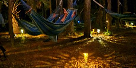 Moonlit Meditation and Sound Bath in Pine Forest Hammocks -New Date May 5th