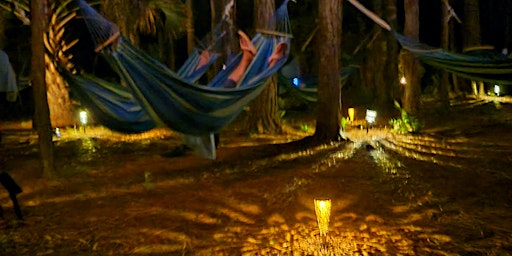 Imagen principal de Moonlit Meditation and Sound Bath in Pine Forest Hammocks -New Date May 5th