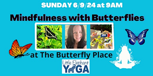 Image principale de Mindfulness with Butterflies 6/9/24