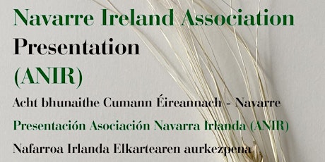 Navarre Ireland Association Presentation