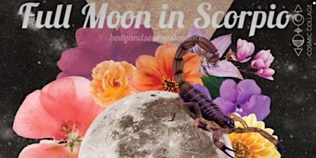 Full Moon in Scorpio Woman’s Empowerment Call & Meditation