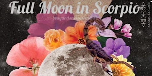 Immagine principale di Full Moon in Scorpio Woman’s Empowerment Call & Meditation 