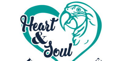Imagem principal do evento Heart & Soul Parrot Rescue Class