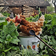 Hauptbild für Ich schlachte mir ein Suppenhuhn