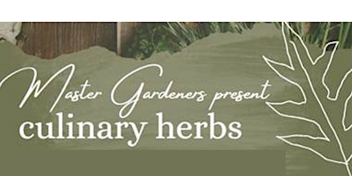 Primaire afbeelding van Growing Culinary Herbs hosted by Rockwall County Library