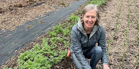 Hauptbild für Paula Pender-Sustainable Growing for the Home Gardener