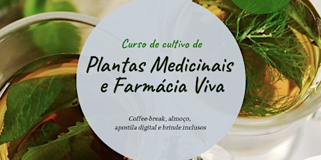 Imagem principal do evento Curso de Cultivo de Plantas Medicinais e Farmácia 