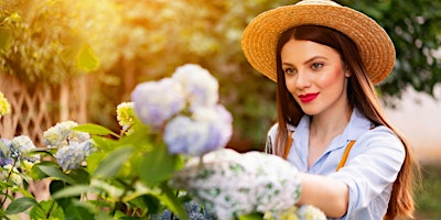 Hauptbild für Hydrangea 101