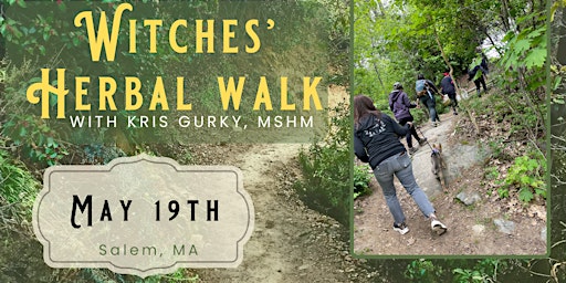 Imagem principal de Witches' Herb Walk