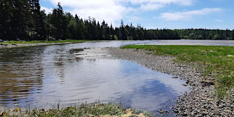 Discover McNabs Island:  Shoreline Tour -  July 21, 2024, 9:30 AM