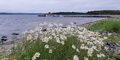 Discover McNabs Island:  Shoreline Tour -  August 18, 2024, 9:30 AM primary image