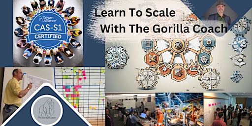 Certified Agile Skills- Scaling 1: July 11-12, 2024 primary image