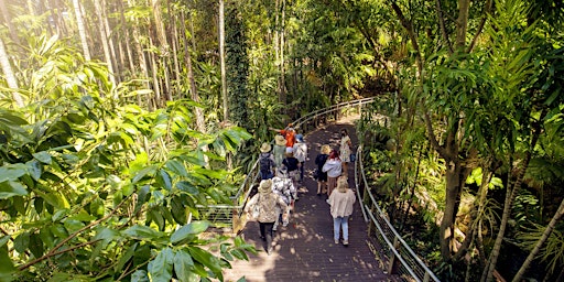 Imagem principal do evento Guided Tour - Bush Tucker and The Rainforest, Roma Street Parkland