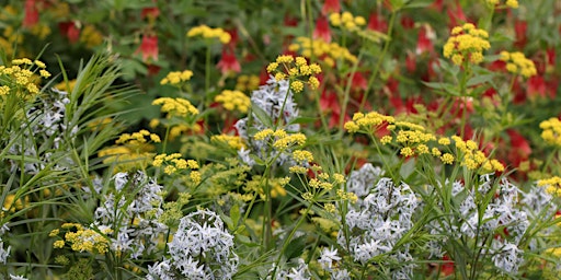 Hauptbild für Pollinator Garden Tour