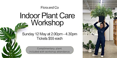 Primaire afbeelding van Indoor Plant Care Workshop - May 12